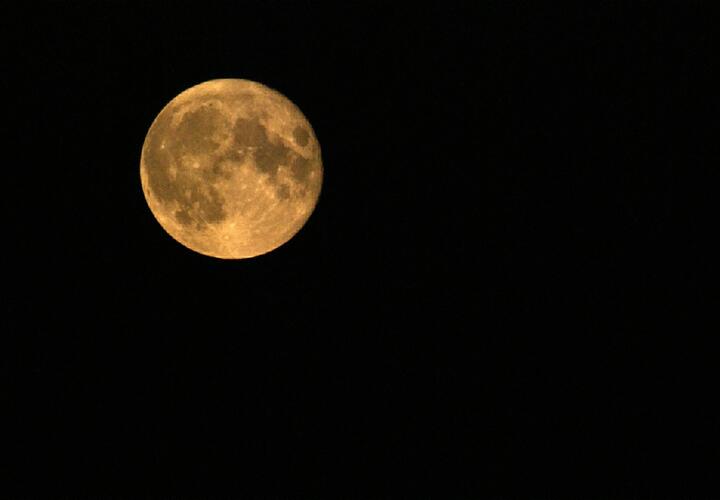 Раки избавятся от бремени, Львам полезно будет проявить милосердие