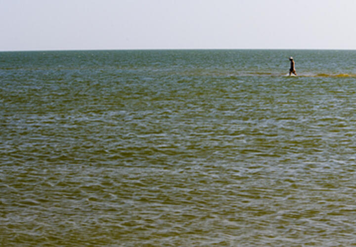 Рекордного уровня достигла соленость Азовского моря