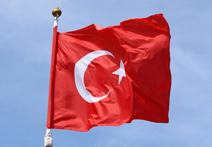 Роспотребнадзор проверяет сообщения о массовом заражении российских туристов опасным вирусом в Турции