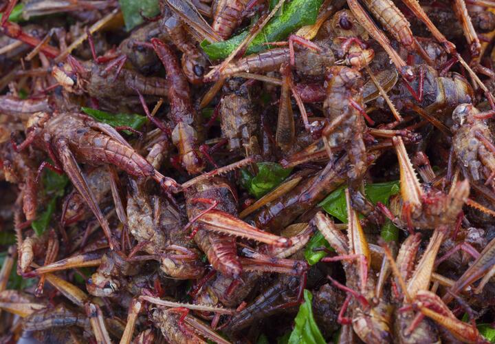 Разбираемся, кому стоит держаться подальше от таких деликатесов