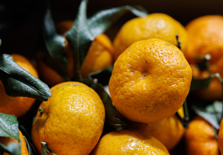 Сезон открыт: начался ввоз мандаринов в Россию из Абхазии