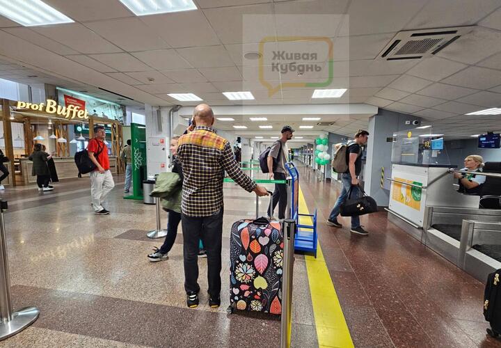 Сколько стоит улететь из Краснодара в Москву, Дубай и Ереван: цены на билеты