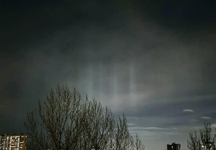 Скорпионов ждут важные переговоры, Стрельцам нужно следить за здоровьем