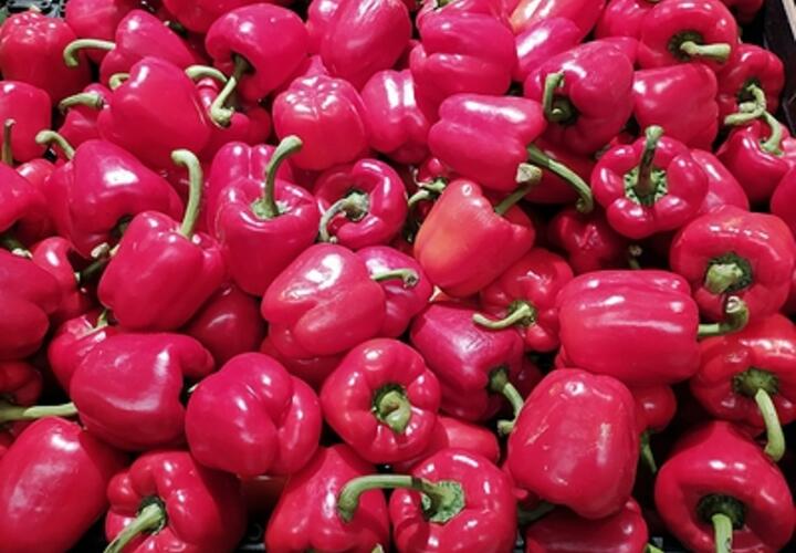 Тонны импортного перца с заразой завезли на Кубань