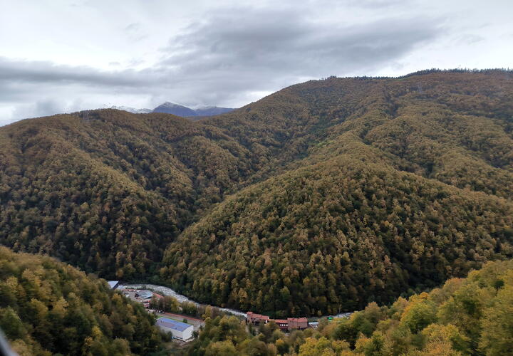 Впереди выходные