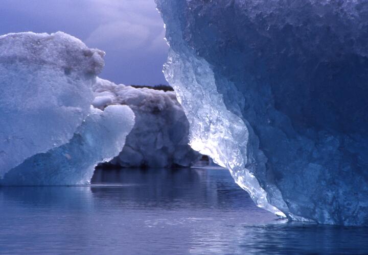 Учёные сумели пробудить микробов, которым 40 тысяч лет