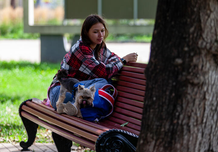 Рейтинг наиболее популярных материалов «Живой Кубани» за сегодня