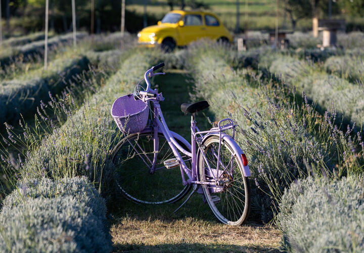 Мы собрали для вас новости, которые обязательно надо обсудить с коллегами, друзьями или родственниками