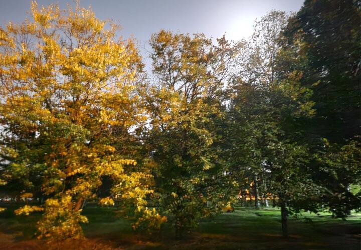 В один из крупнейших парков Краснодара посетителей не будут пускать из-за ухудшения погоды