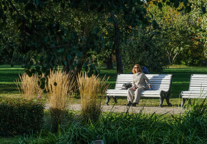 Рейтинг наиболее популярных материалов «Живой Кубани» за сегодня