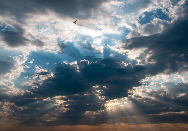 В Ростовской области запустили авиацию для вызова дождей