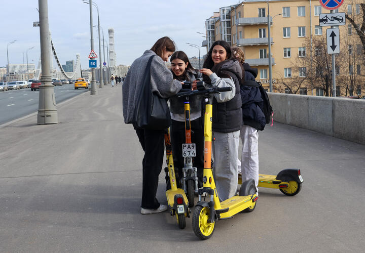 Молодежь чаще всего выбирает акции крупных компаний
