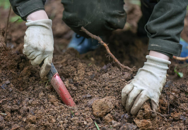 Находки в курганах поразили