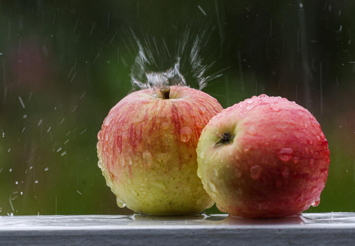 После гранатов Кандагар поставляет еще одну партию фруктов