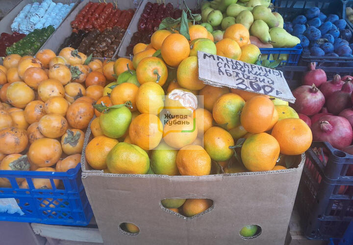 Абхазия уже ввезла в РФ мандаринов вдвое больше, чем годом ранее