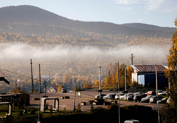 Акула растерзала туристов, Трамп приказал мобилизовать дополнительно 500 военнослужащих: что произошло, пока вы спали