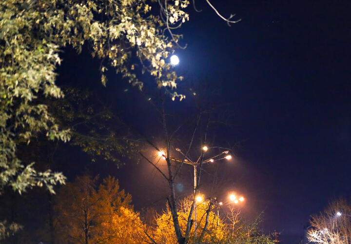 Электричества не будет весь рабочий день