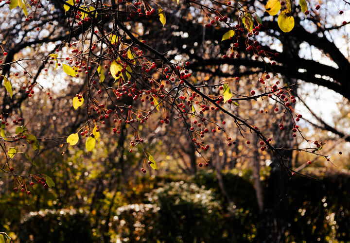 Больше 70 улиц в Краснодаре останутся без света 7 ноября