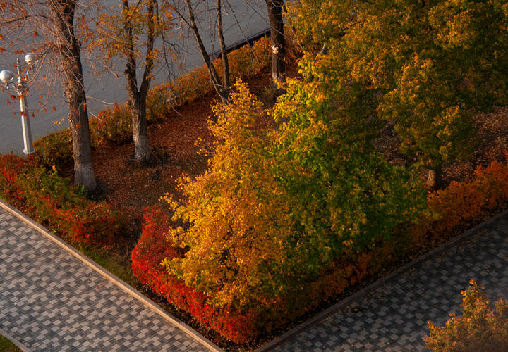 Депутат Александр Сафронов призвал увеличить расходы на уход и полив, чтобы новые посадки не погибали