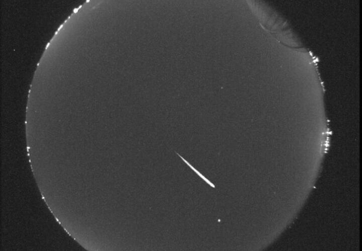 Для Козерогов у звёзд есть рекомендации по любви, Водолеям придётся выпутываться из непростой ситуации