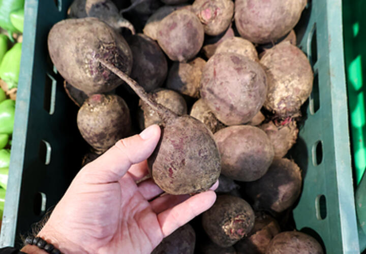 Эксперты назвали корнеплод, который выводит токсины из организма