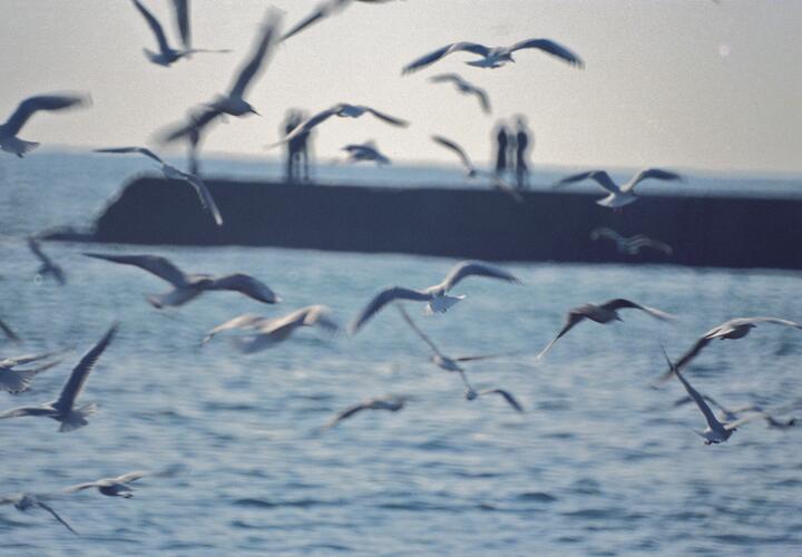 Где дешевле всего перезимовать на юге России? Аналитики сравнили разные города Кубани и не только