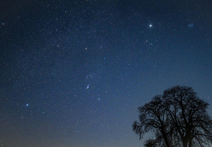 Гороскоп на неделю с 1 по 7 декабря от «Живой Кубани»