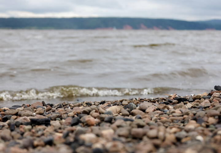 Камень с пляжа Новороссийска продают за 750 тысяч