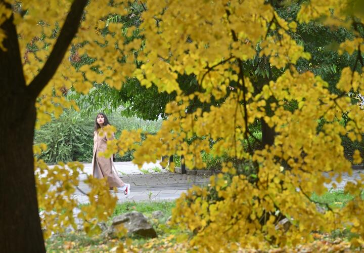 До конца осени столбики термометров будут держаться выше нормы