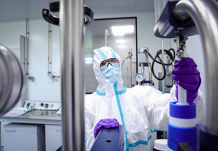 Кровеносные сосуды подшивают кроликам: что придумали учёные, чтобы продлить человеческую жизнь до 150 лет