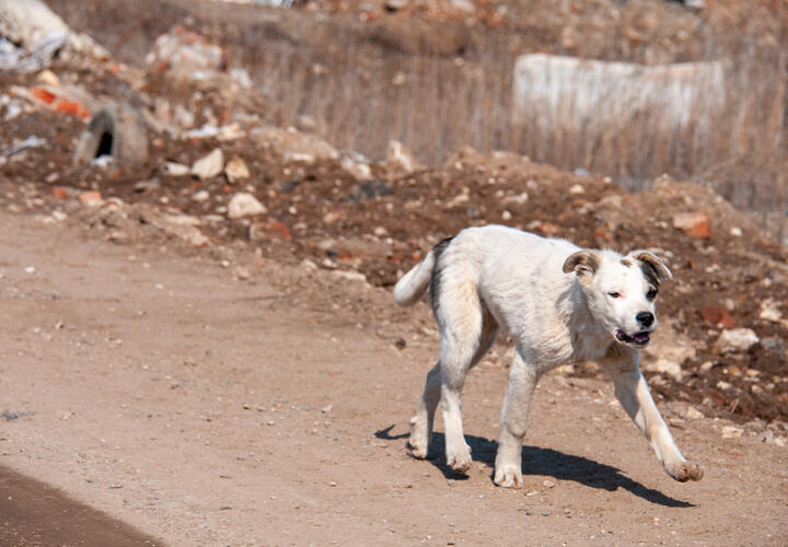 Родители переживали потерю, пока в интернете распространялись ужасные оскорбления в адрес их семьи