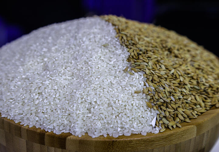 Многое теряете: почему бурый рис гораздо полезнее белого
