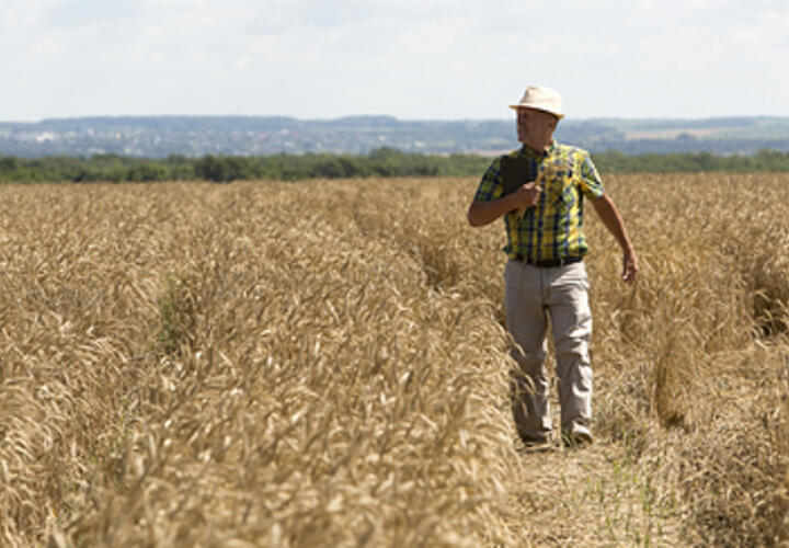 «Не хватает более 200 тысяч человек»: эксперт рассказал, как решить кадровую проблему в АПК