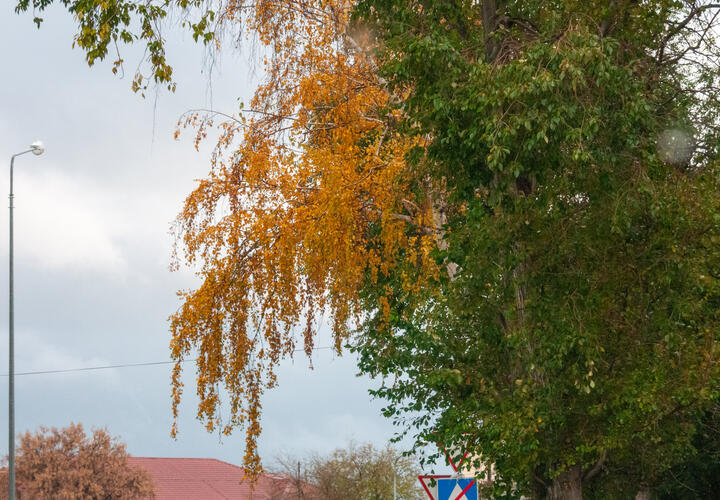 Сильные холода затронут лишь Дальний Восток