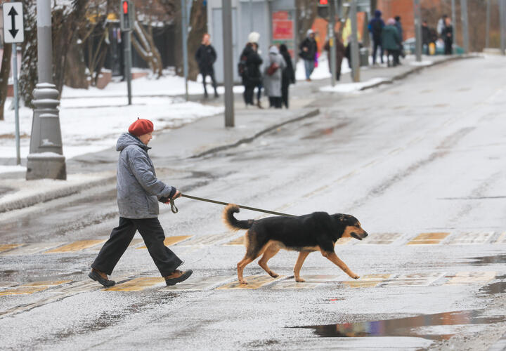 Обнять и плакать: какой погоды ждать кубанцам в декабре