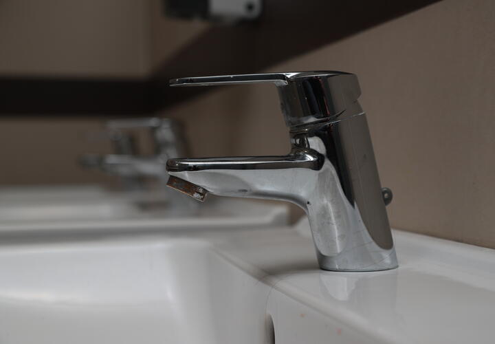 Фото: globallookpress\Bulkin Sergey