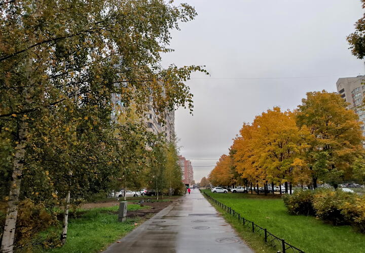 Синоптики обещают пасмурную, но теплую неделю без серьезных осадков