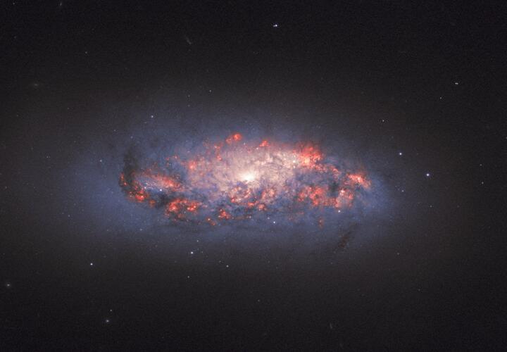 Рыбы обожгутся на удовольствиях, Козерогов ждёт много возможностей, но взять все не получится