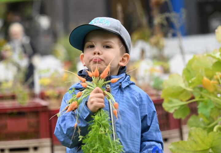 Россия – страна с богатой историей и, как следствие, с не менее богатым выбором имен. И если одни родители стремятся к классике и благозвучию, то другие, видимо, решили добавить в жизнь своих чад щепотку юмора и оригинальности. Результат?  Когда родители были в ударе (или не очень): •	Космические имена: В эпоху покорения космоса, видимо, было модно давать детям имена, связанные с этой темой. Так появились на свет Космос, Гагарин, Восток, а иногда и более экзотические варианты вроде Марс или Юпитер.  •	Револ