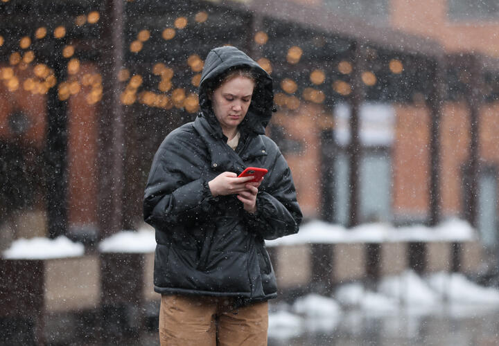 Рейтинг наиболее популярных материалов «Живой Кубани» за сегодня