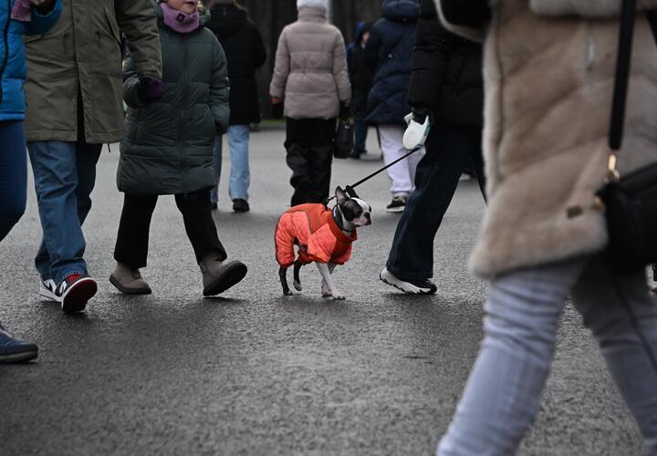 Синоптики рассказали, какой будет эта зима в Краснодарском крае 