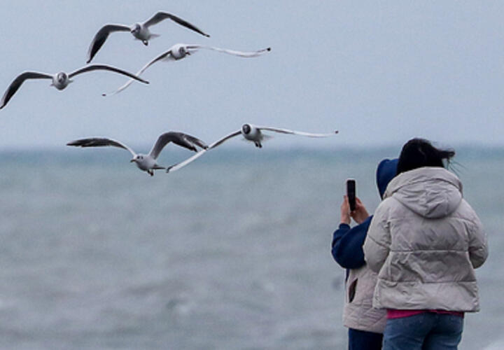Стрельба в нескольких районах Сочи. Идут учения