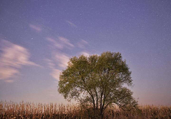 Гороскоп на 29 ноября для всех знаков зодиака от «Живой Кубани»