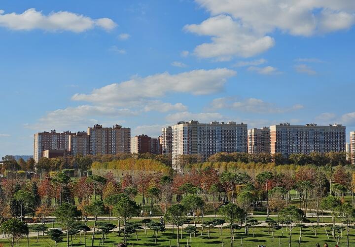 Только руки и больше ничего: странный арт-объект появился в парке Галицкого в Краснодаре