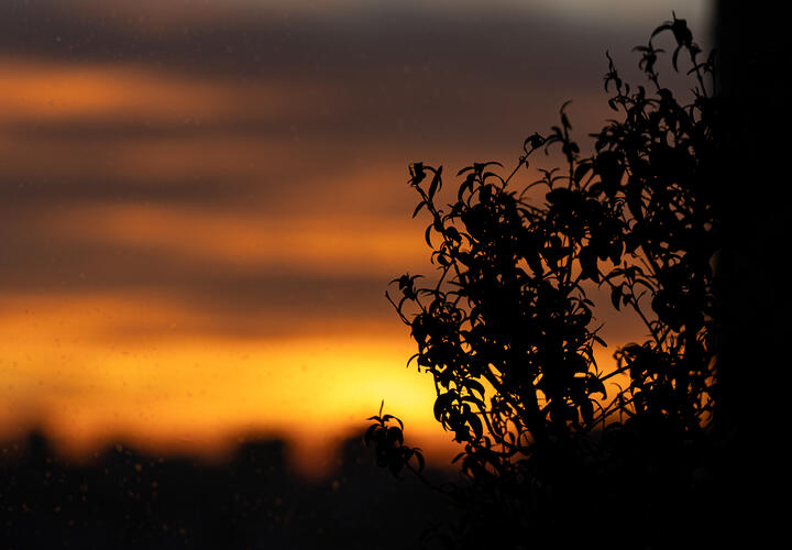 Три мощные вспышки произошли на солнце этой ночью: чего ждать