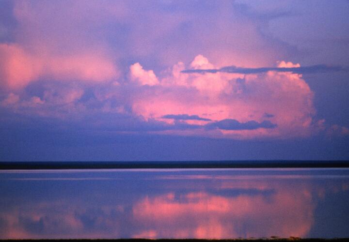 У Львов откроются новые варианты для заработка, Весов могут настигнуть проблемы с законом 