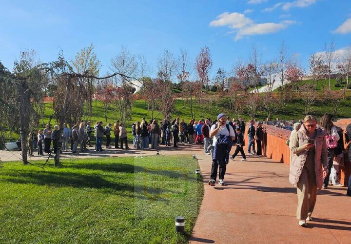 У Японского сада конкурент: к новой локации в «Краснодаре» стоят две громадные очереди. Что происходит в парке Галицкого?