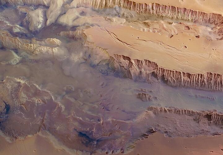 Учёные смогли вырастить ячмень на марсианской почве