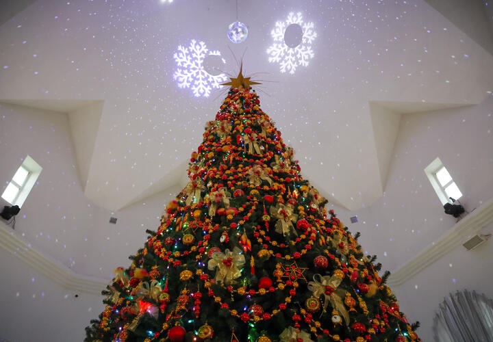 Как оформить дом так, чтобы символ года принес движение и благополучие