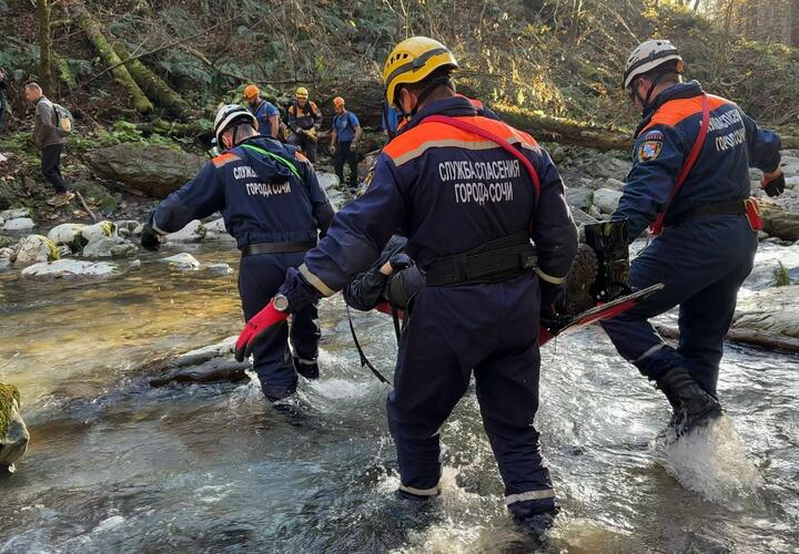 В Сочи туристка отправилась на лесную прогулку, с которой не смогла самостоятельно вернуться